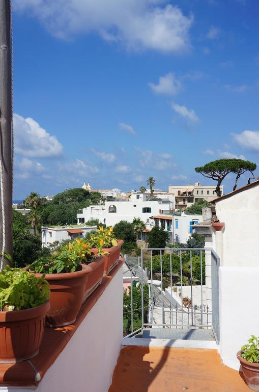 Ring Hostel Forio di Ischia Exteriér fotografie